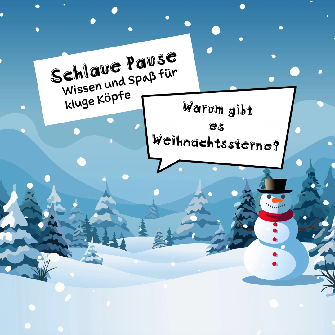 15. Adventtürchen: Warum gibt es Weihnachtssterne?