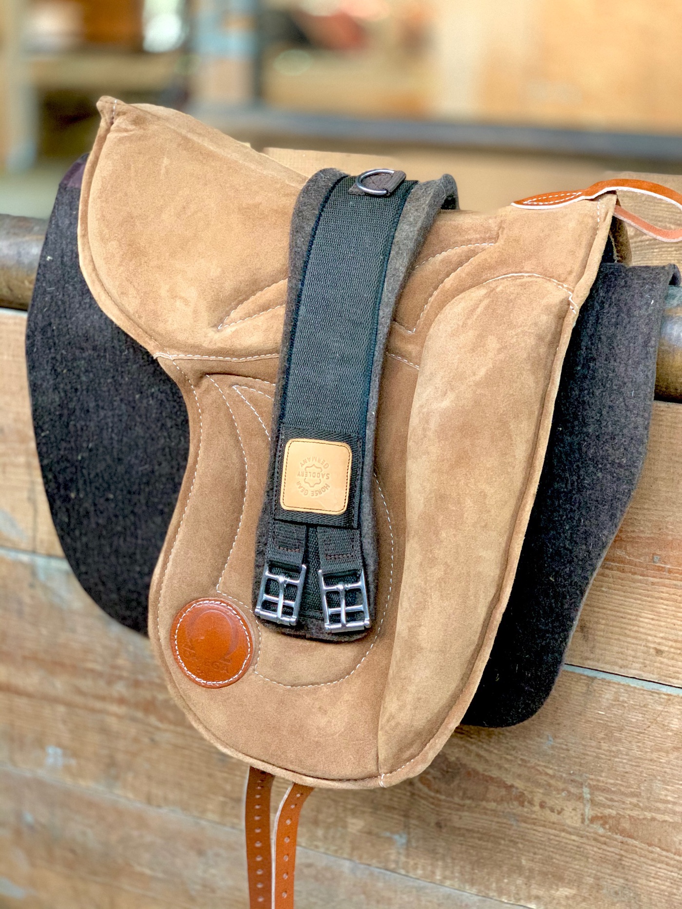 Ist Reiten Pferdefreundlich?