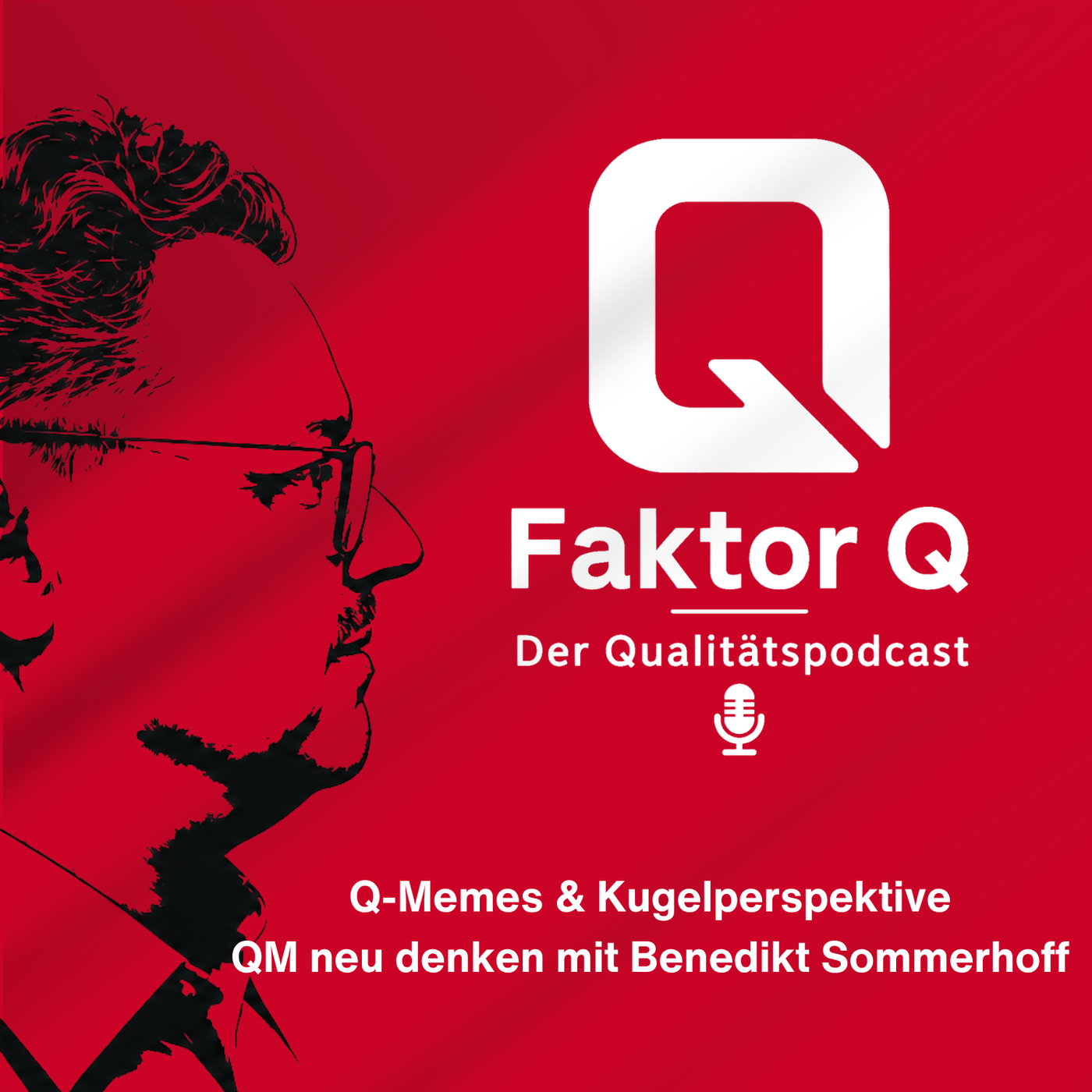 Q-Memes & Kugel-Perspektiven: QM neu denken mit Dr. Benedikt Sommerhoff