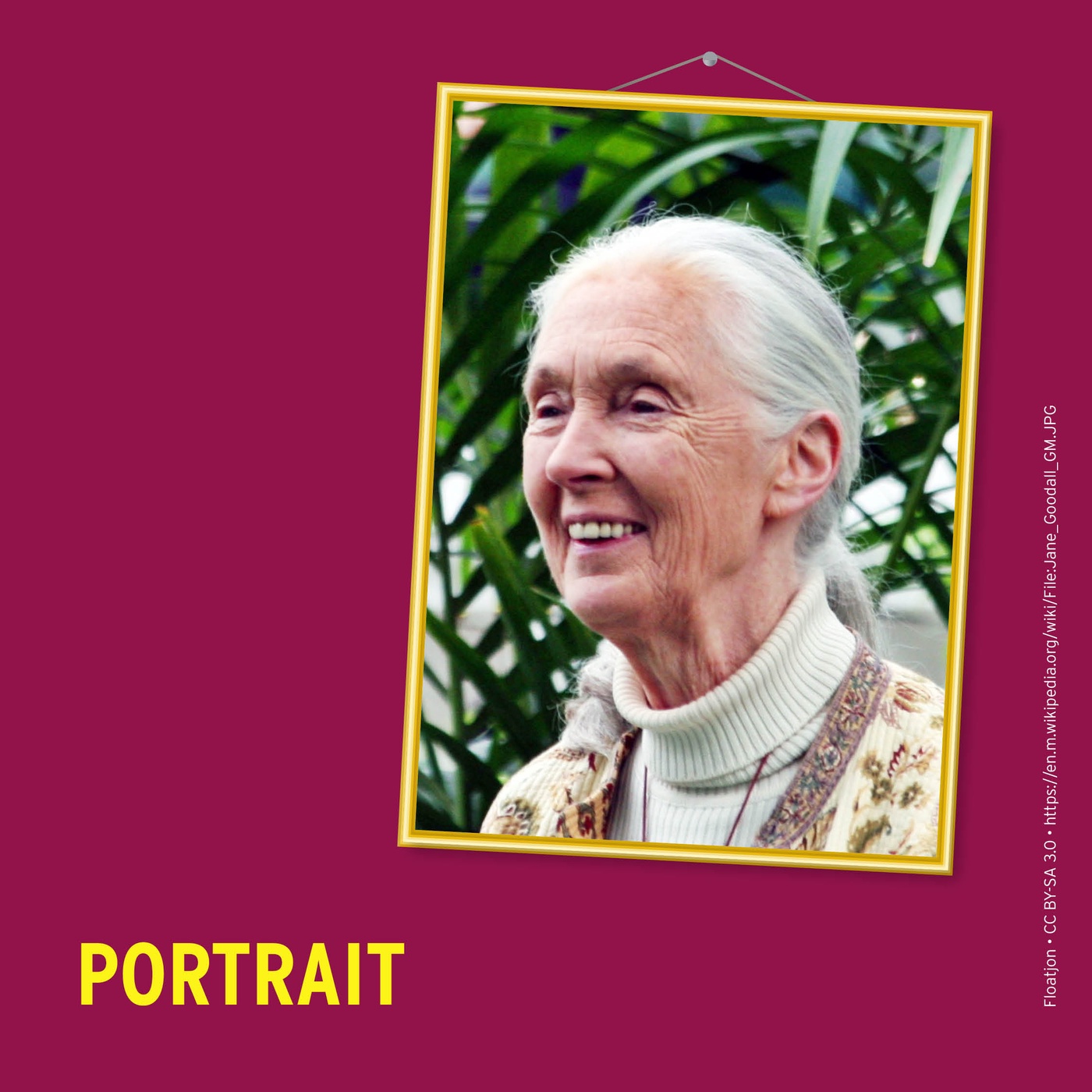 Wer ist eigentlich Dr. Jane Goodall?