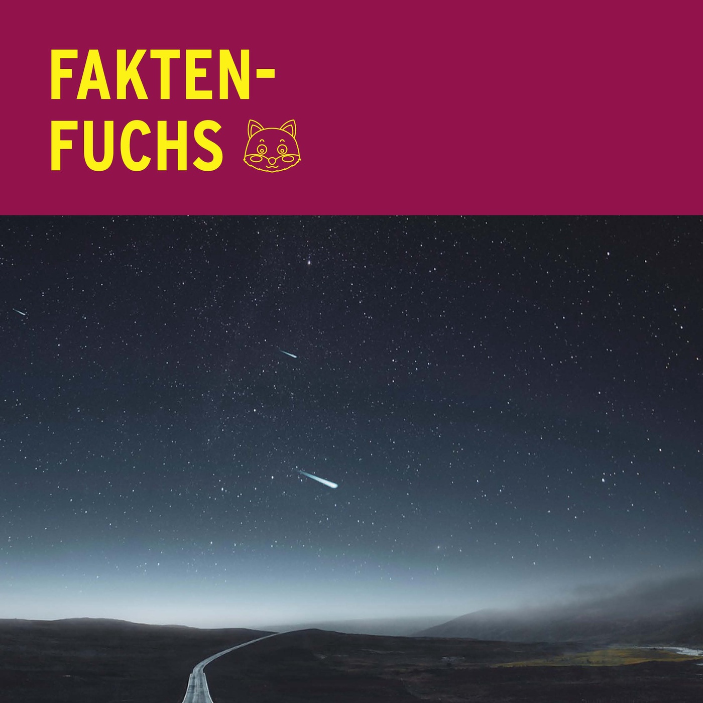Faktenfuchs: Sternschnuppen