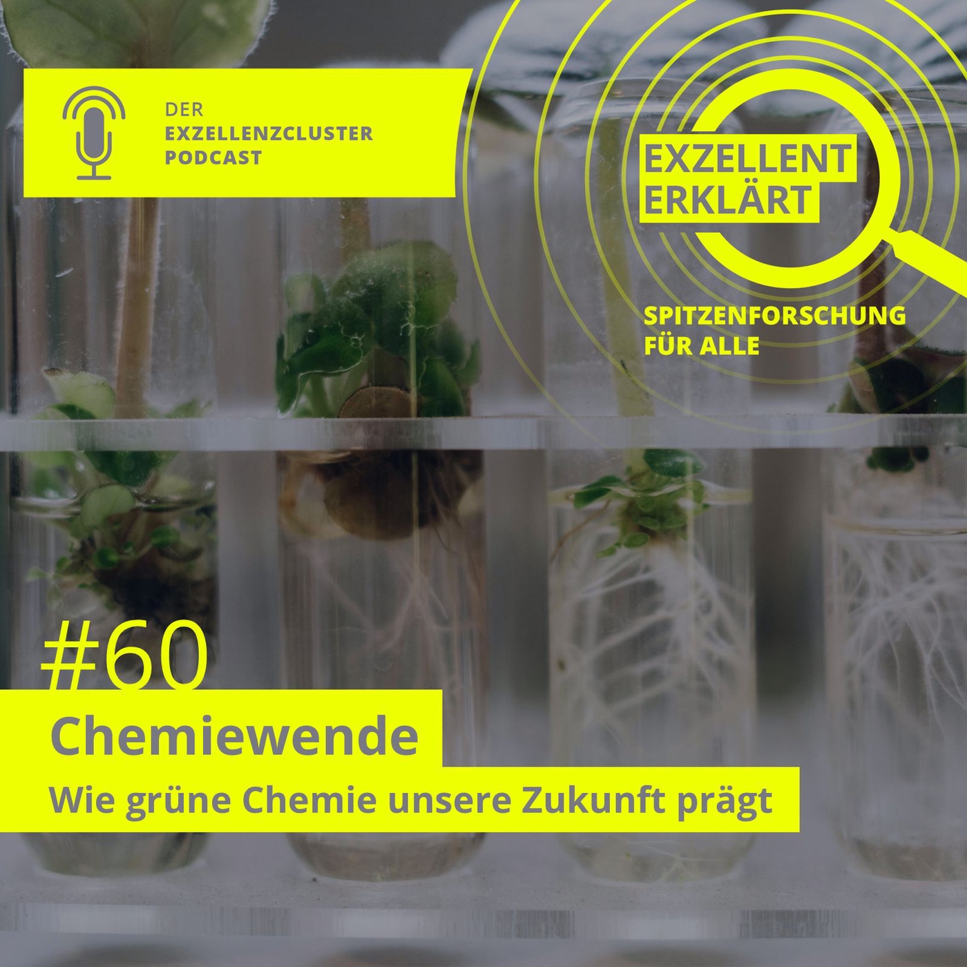 Chemiewende – Wie grüne Chemie unsere Zukunft prägt