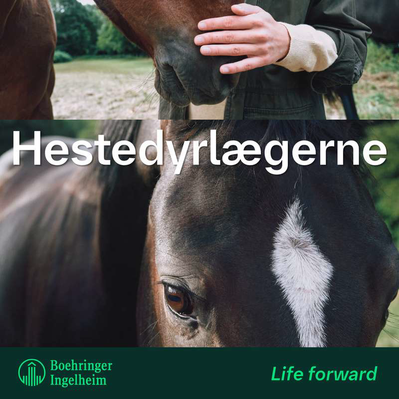 Hestedyrlægerne diskuterer EGUS, del 5 - Andre diagnoser i maven