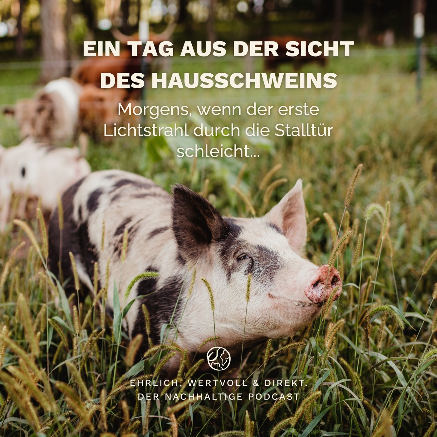 Ein Tag aus der Sicht des Hausschweins