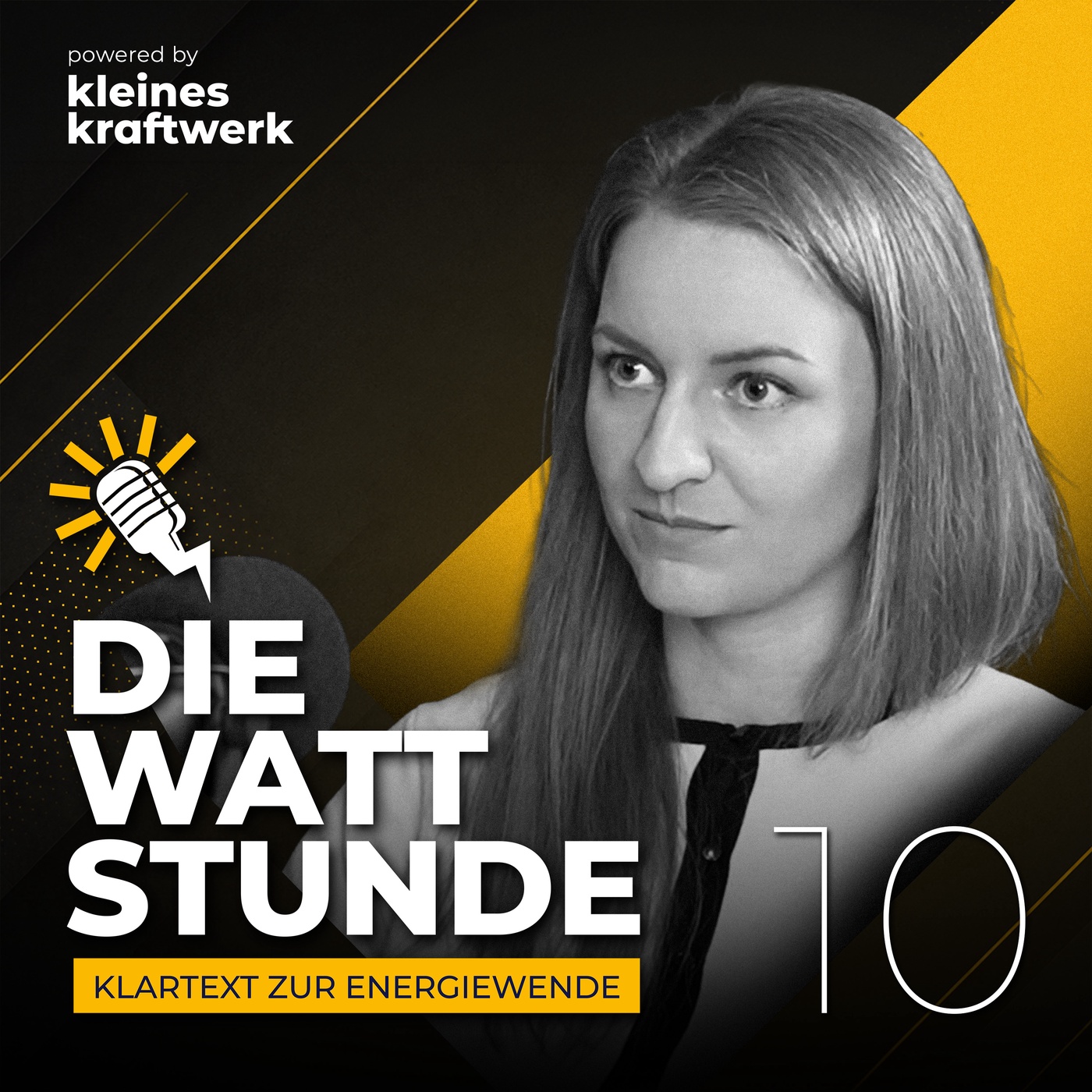 #10 - Katastrophenschutz durch Heimspeicher - Michelle Kreisig