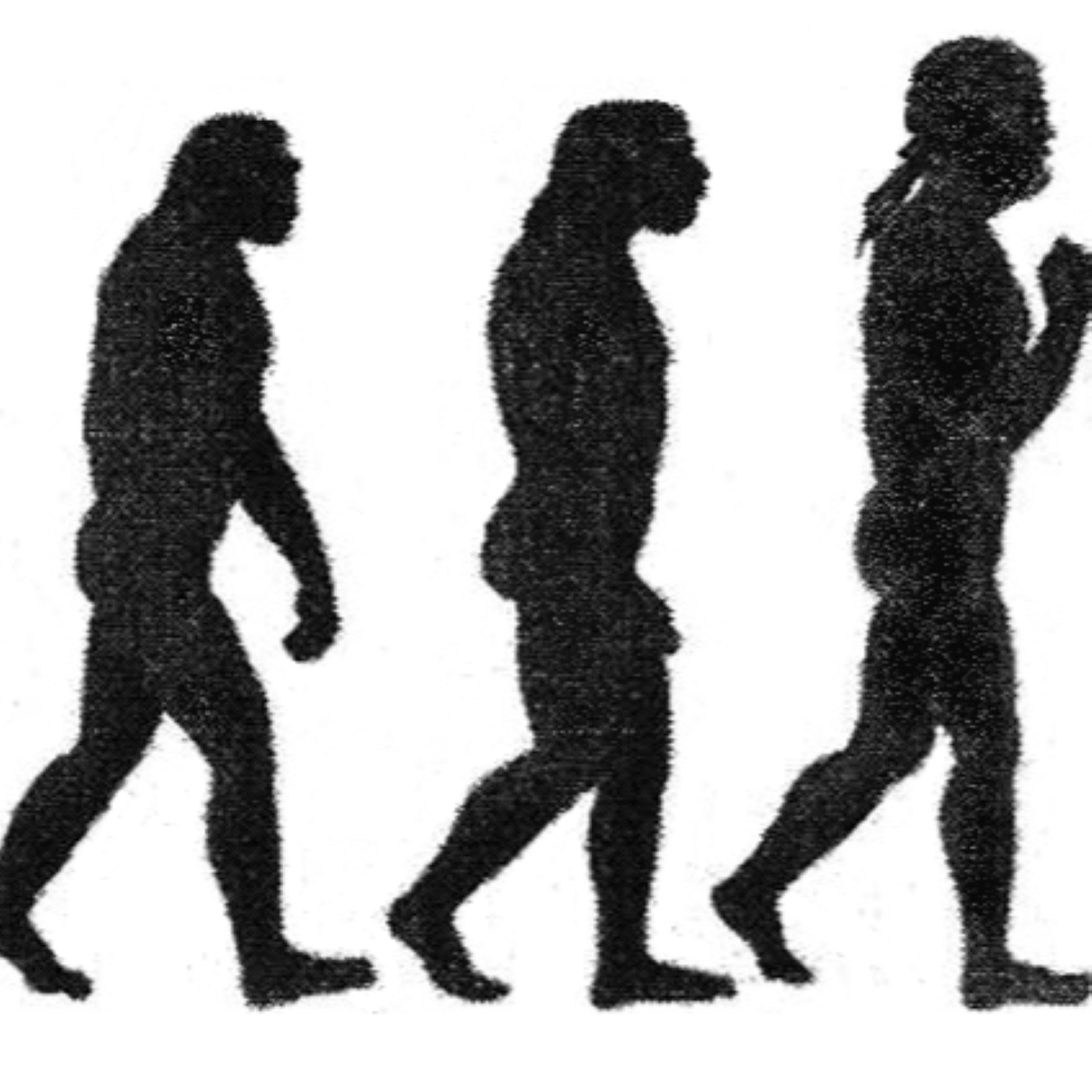 C-004: Der frühe homo sapiens in Europa, mit Dustin Welper