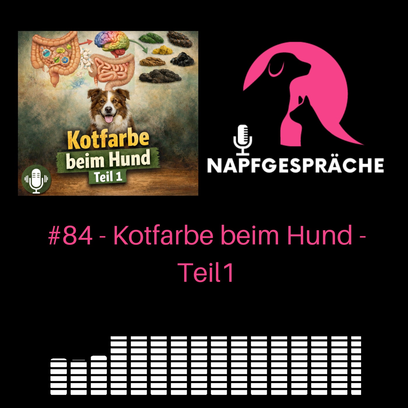 #84 - Kotfarbe beim Hund - Teil1