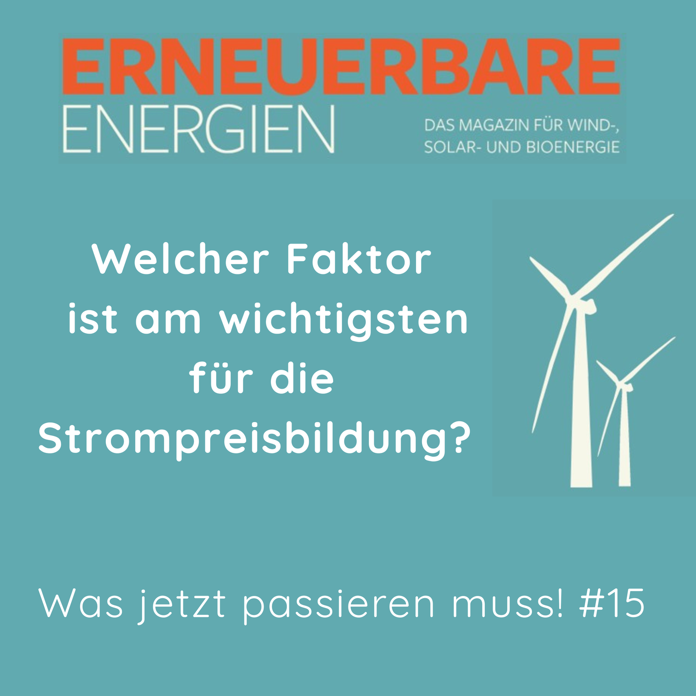 Welcher Faktor ist am wichtigsten für die Strompreisbildung?