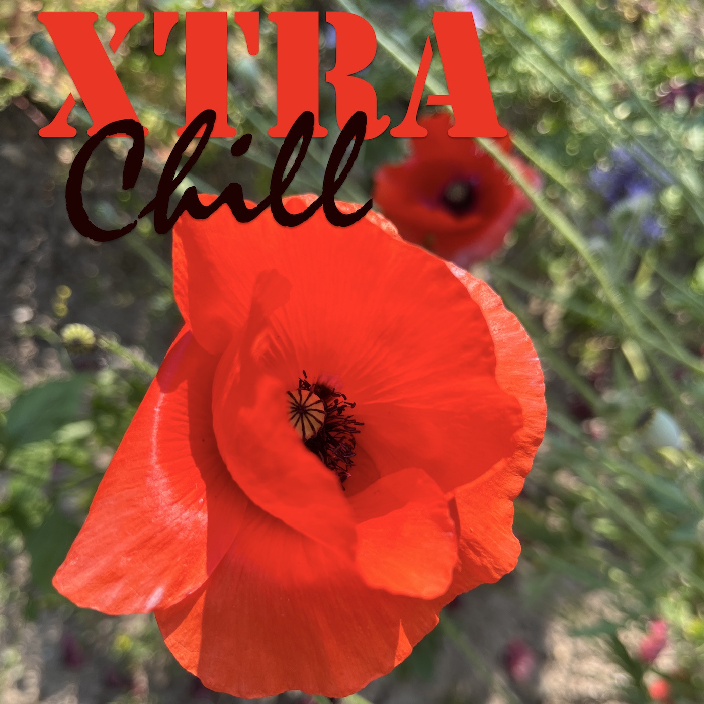 XtraChill 394