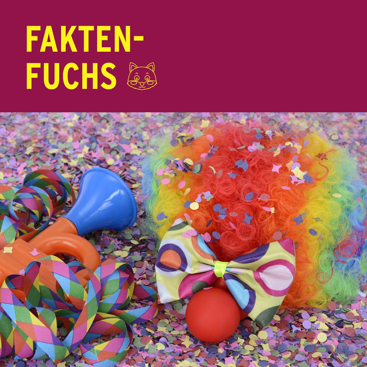 Faktenfuchs: 11.11.