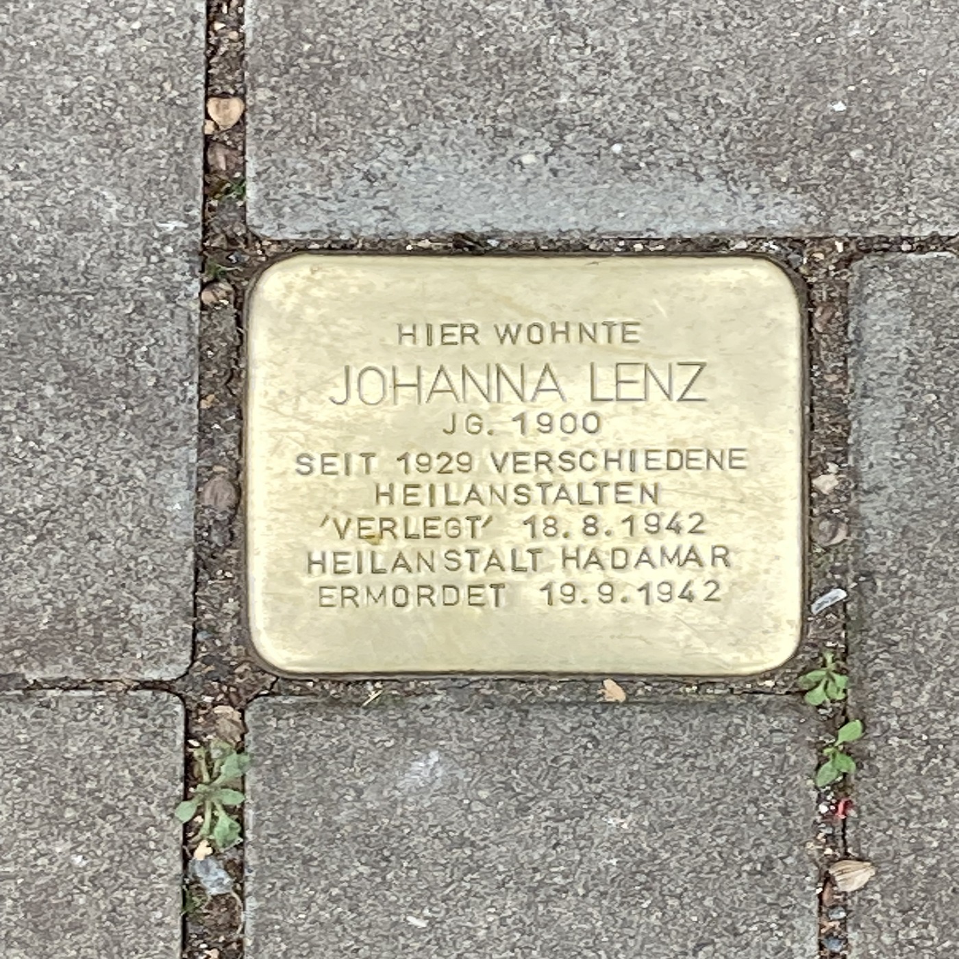 ! Nie wieder ist jetzt !