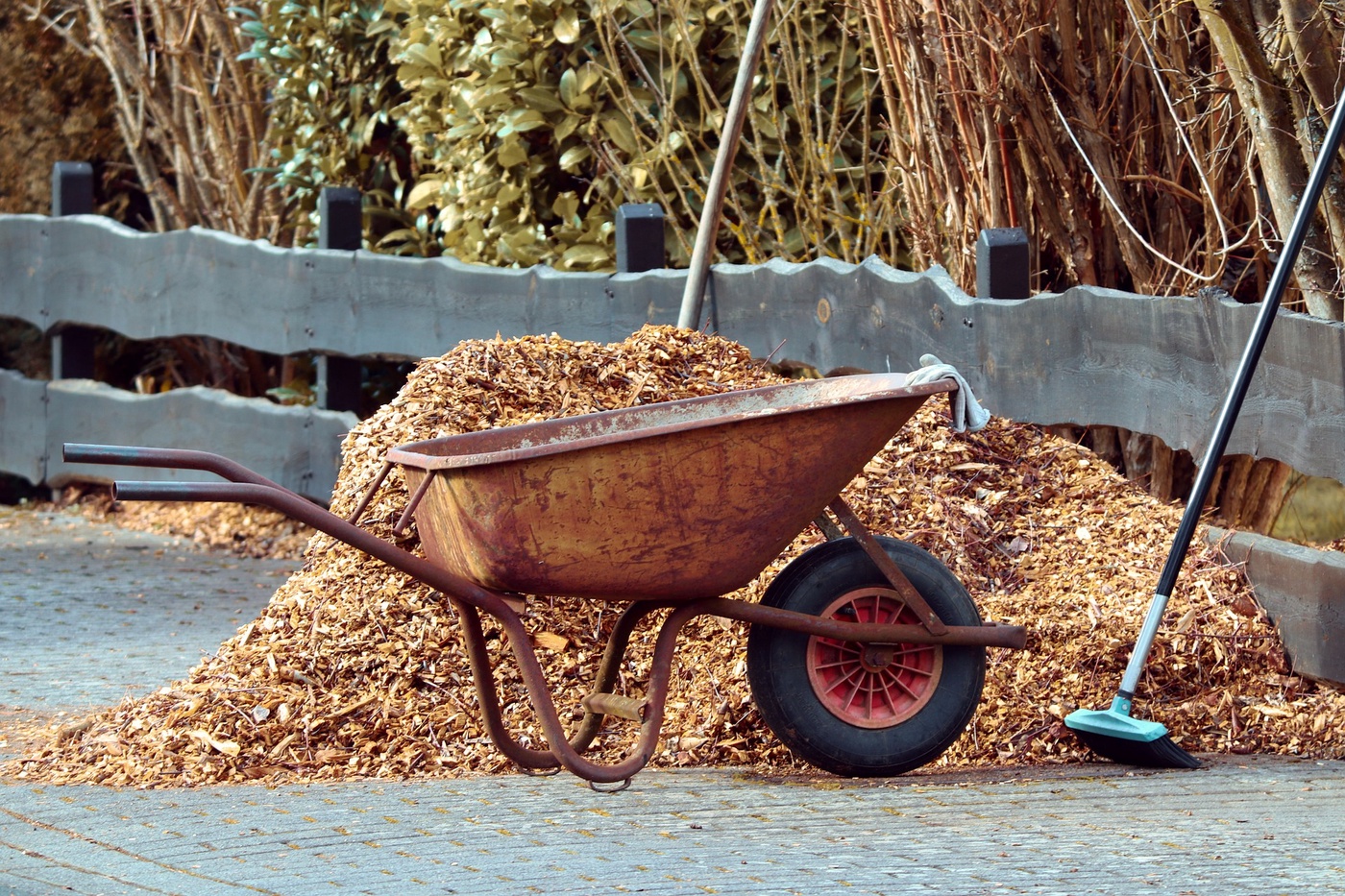 AUSGABE 20 - Kurzes Februar Ziergarten-Update