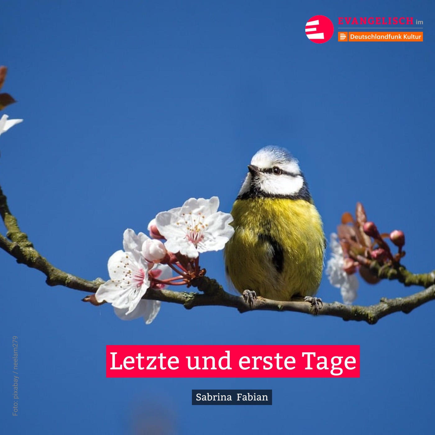 Letzte und erste Tage