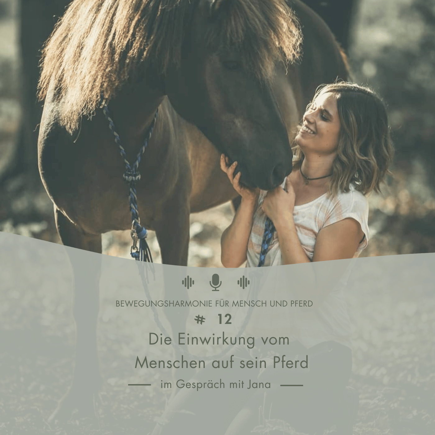 #12 Einwirkung vom Menschen aufs Pferd