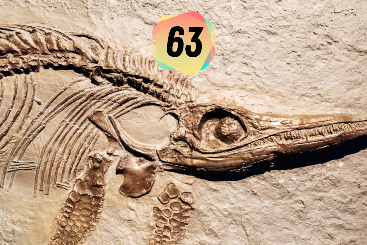 EP 63: Ichthyosaurier, Kaiserschnitt & Pfeilstorch