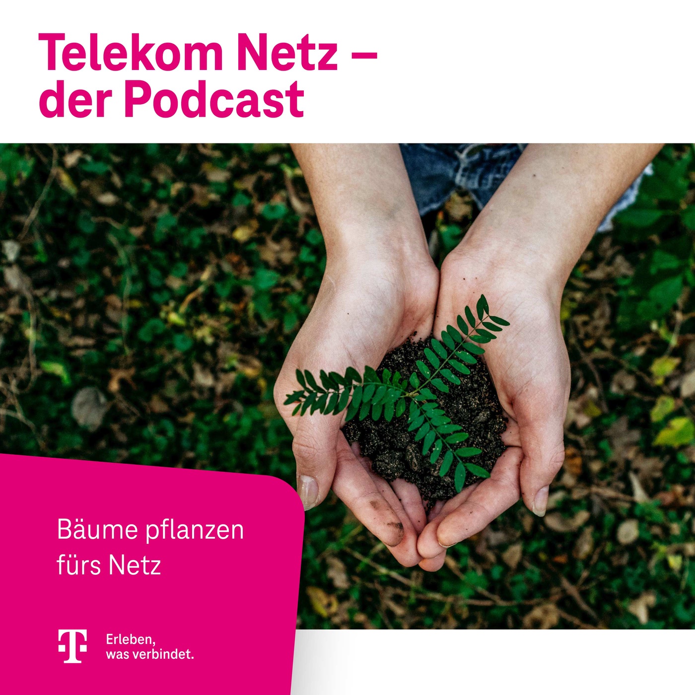 Episode 149 – Grüner Netzausbau: Wie Bäume das Glasfasernetz der Telekom wachsen lassen