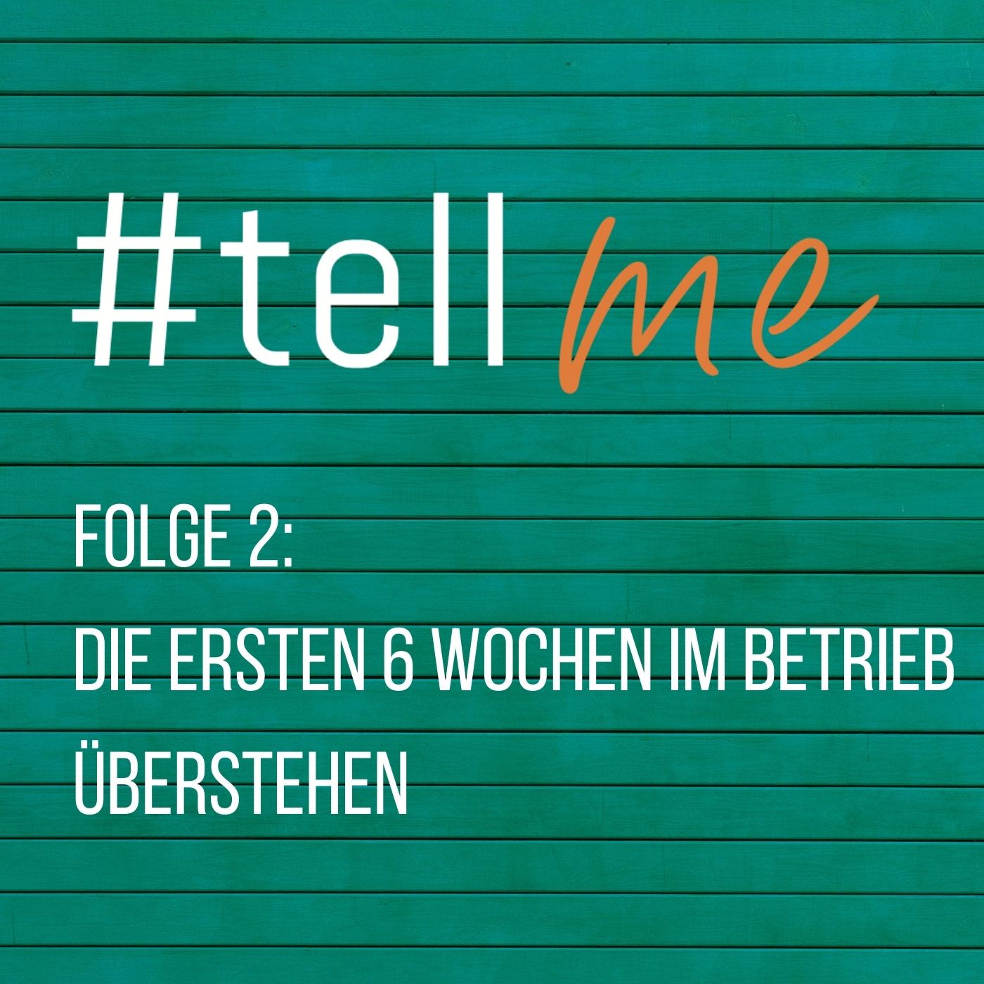 02_Die ersten 6 Wochen im Betrieb überstehen