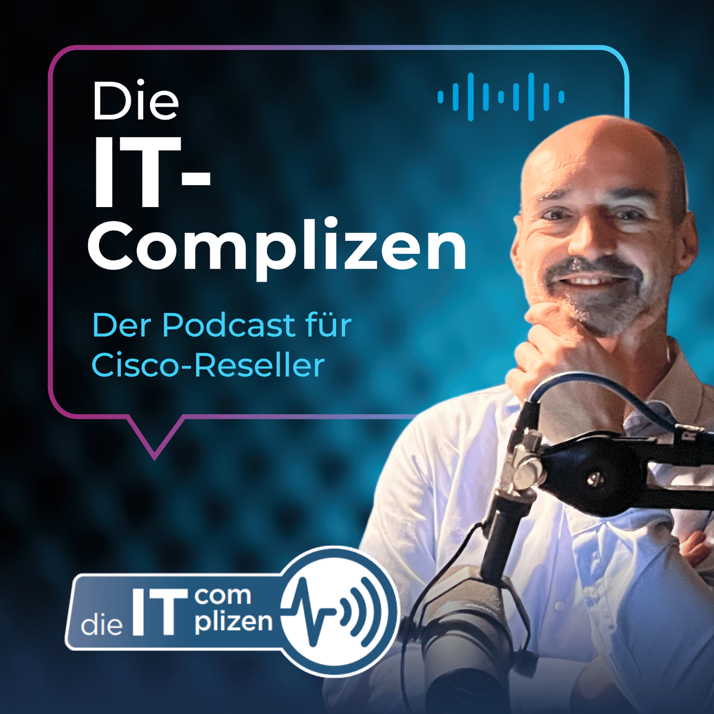 Die IT Complizen