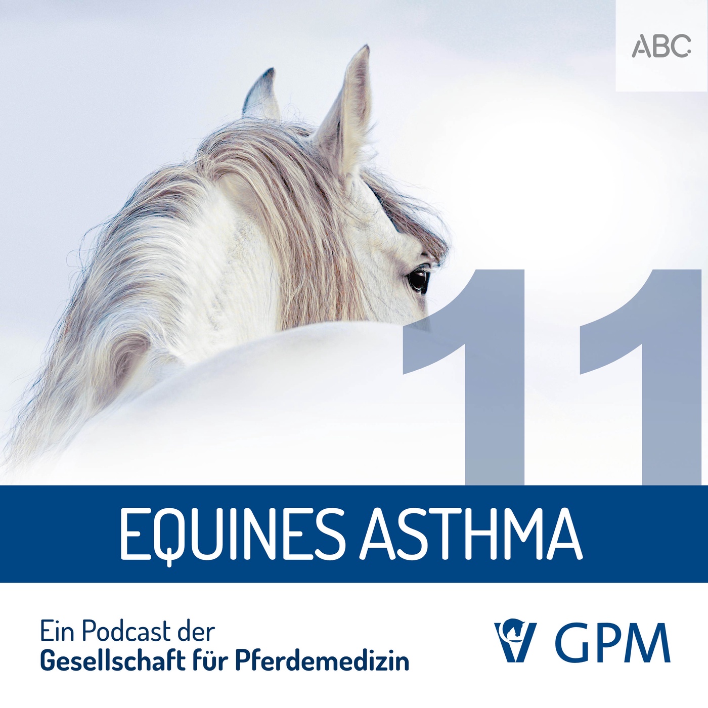 Equines Asthma