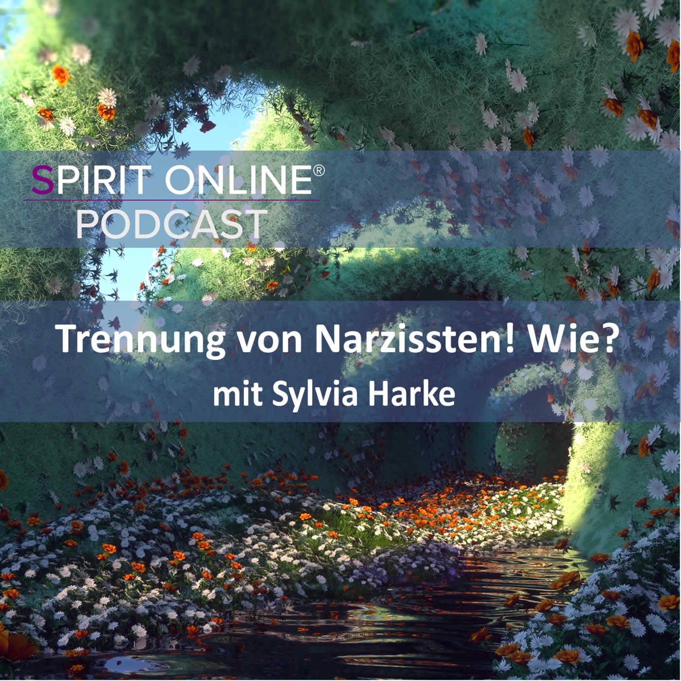 Wie trenne ich mich von einem Narzissten? mit Sylvia Harke