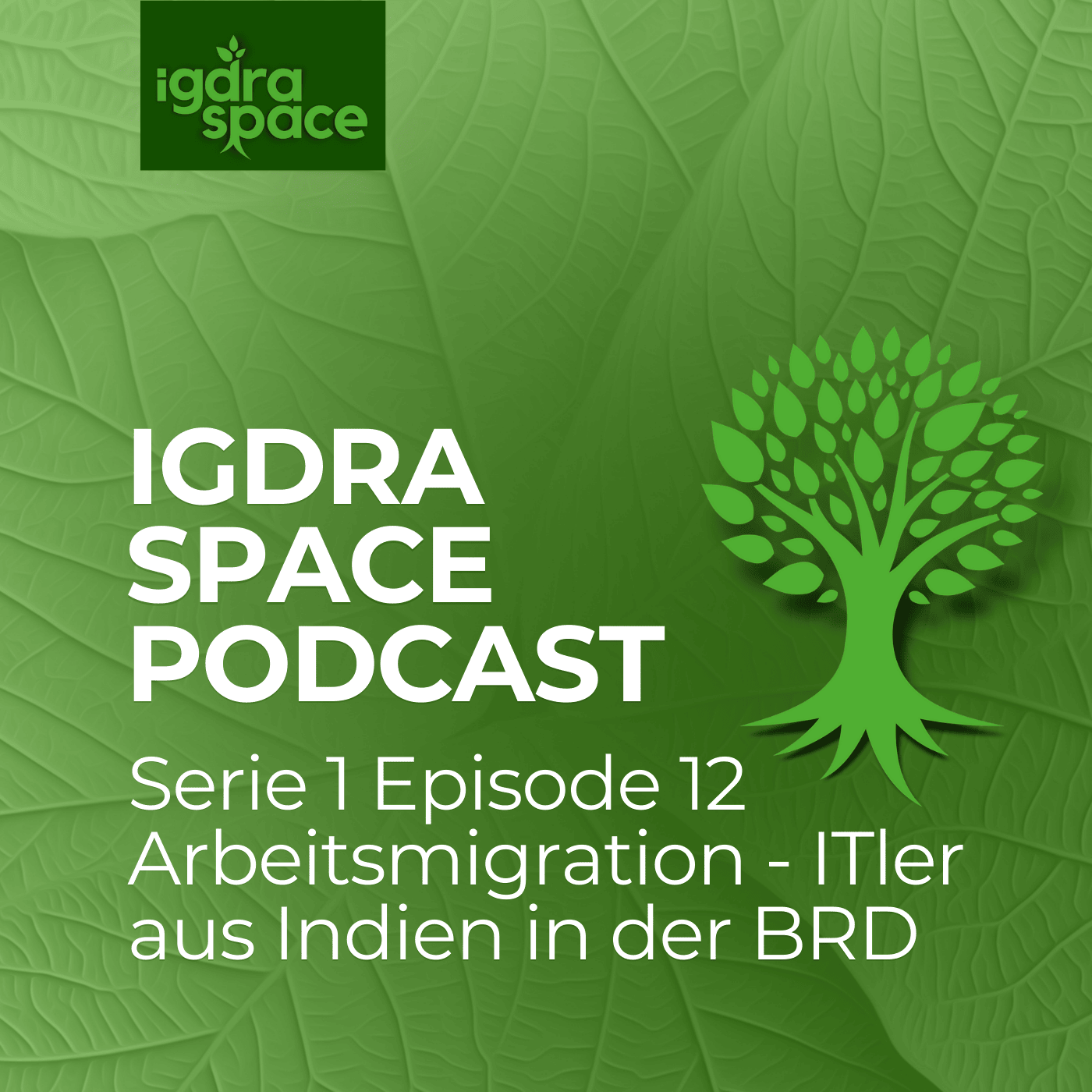 #12 Arbeitsmigration - ITler aus Indien in der BRD