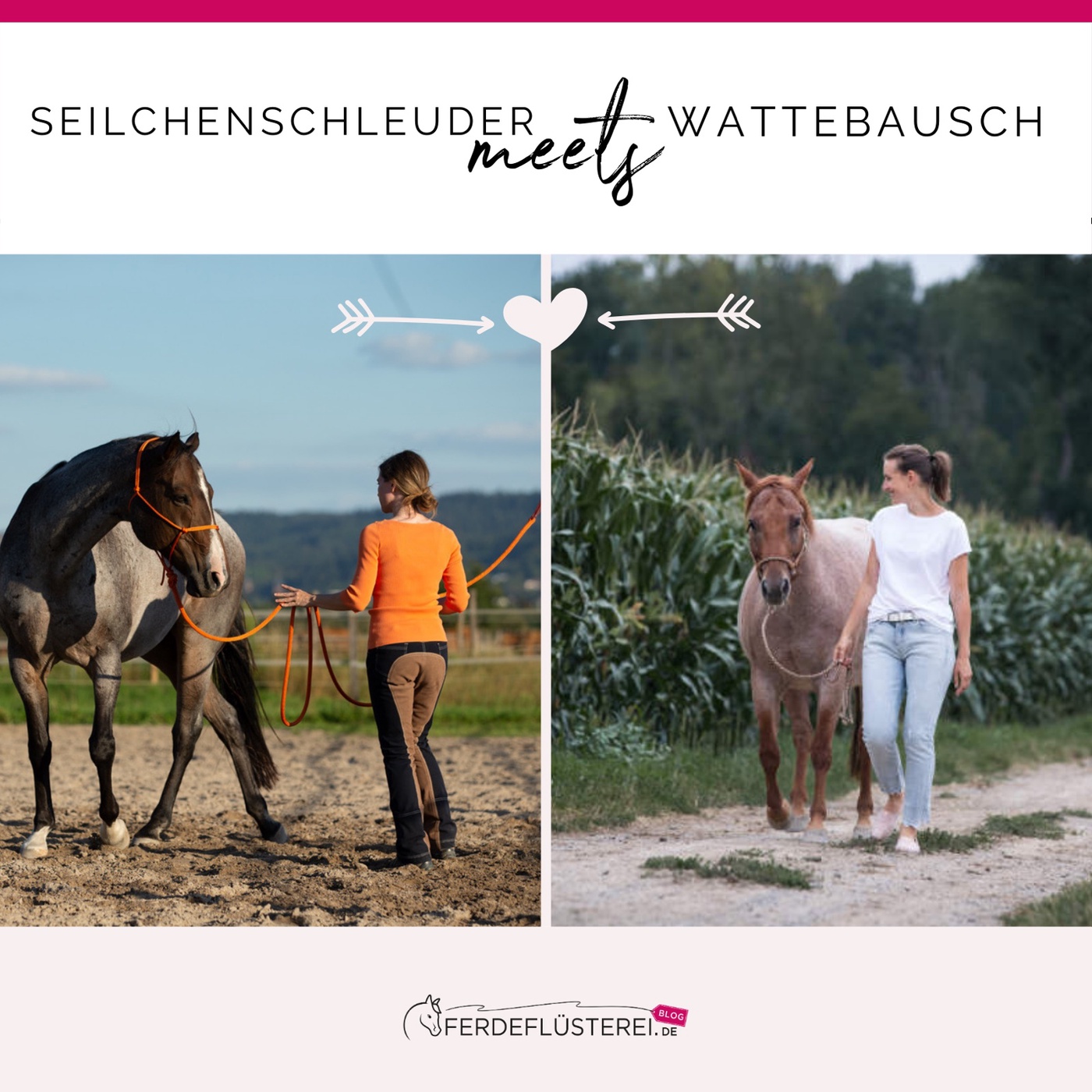 Jungpferd - ja oder nein? Zwei Meinungen zum Thema