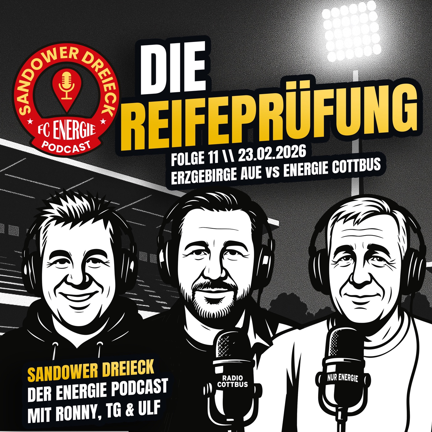 Die Reifeprüfung | Erzgebirge Aue - Energie Cottbus | 