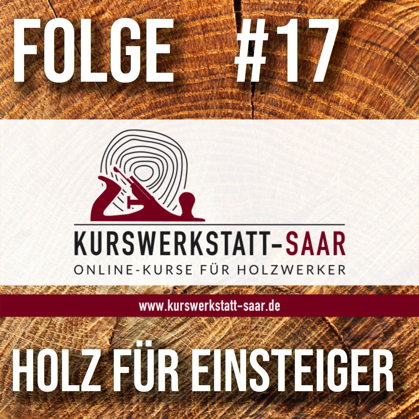 Folge 17- Holz für den Einstieg