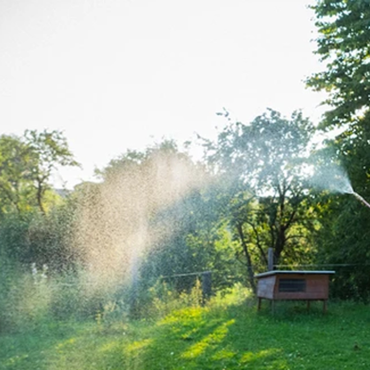 Demeter: Weiteres zu den Präparaten