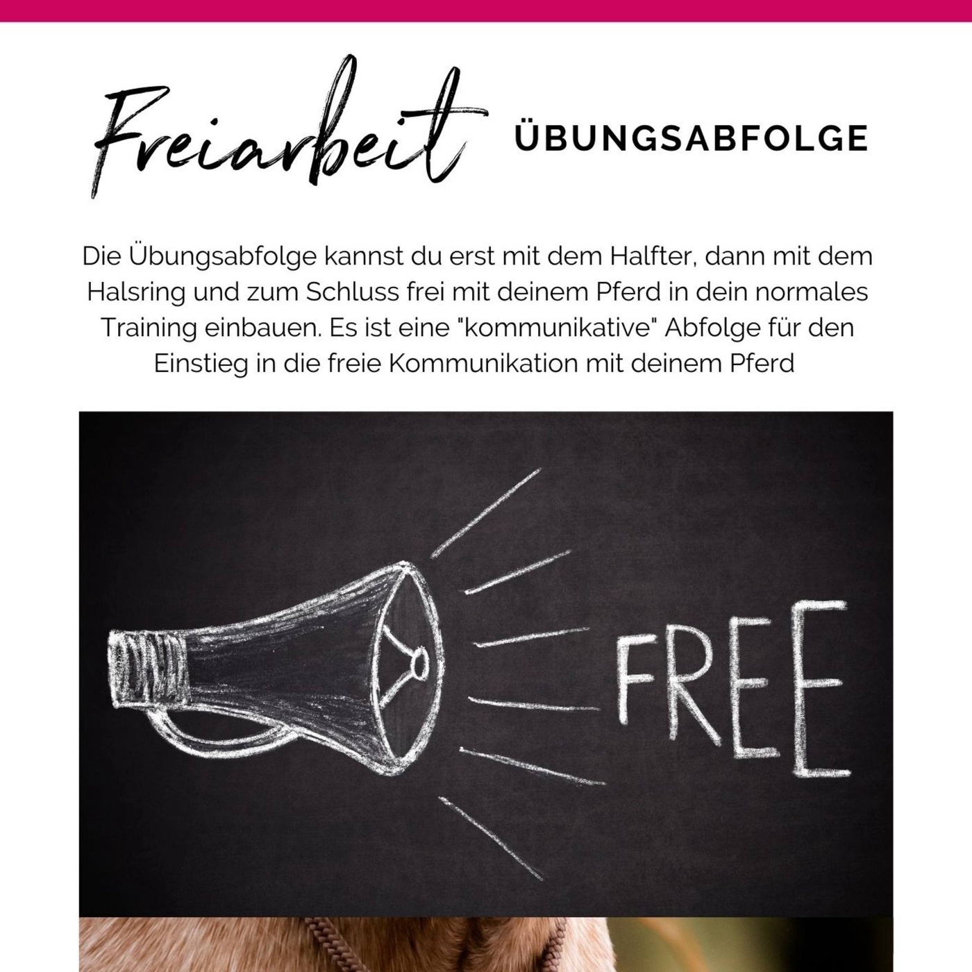 3 simple Steps für den Einstieg in die Freiarbeit