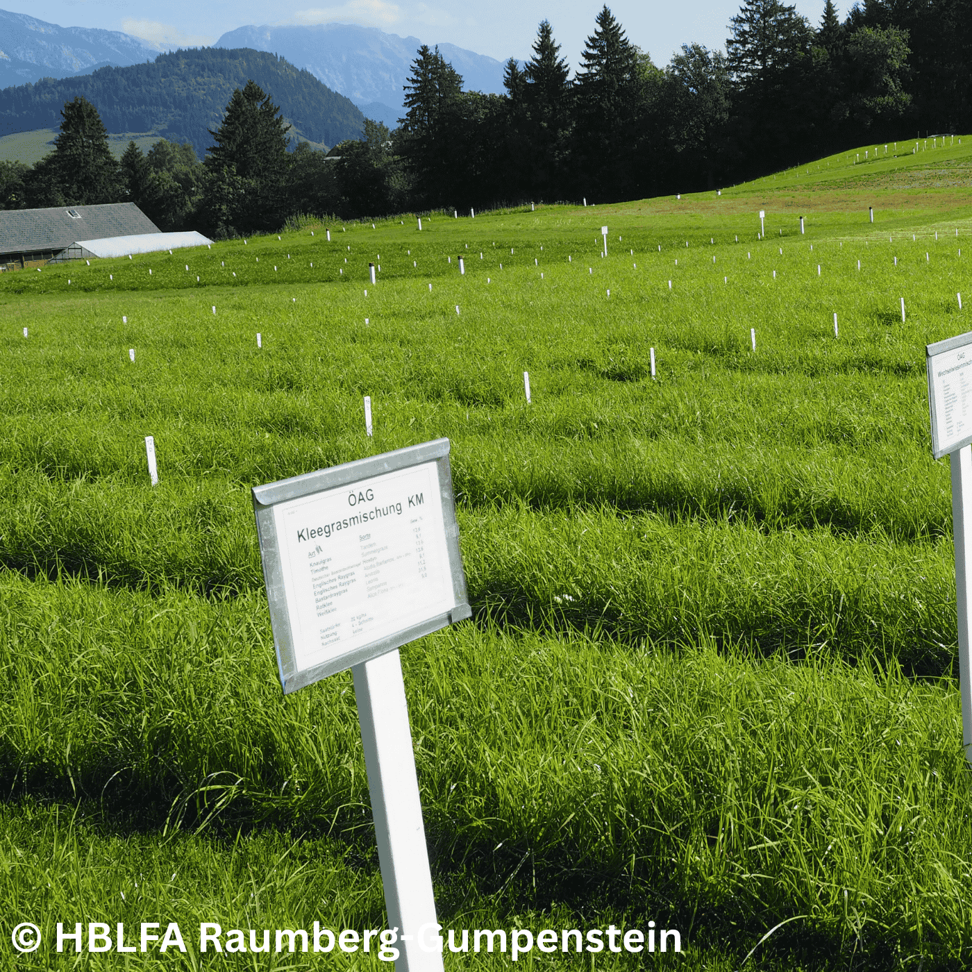 Folge 154: Die Grünlandmischung der Zukunft – Forschung trifft Praxis