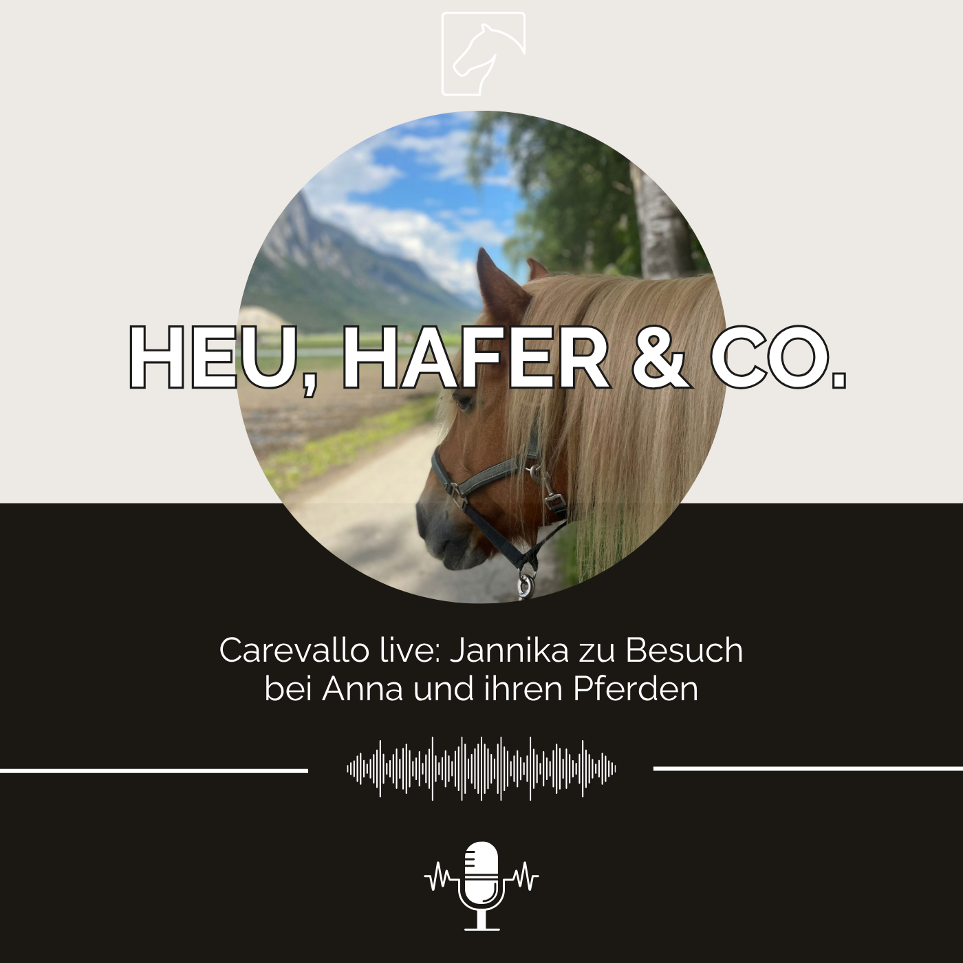 Episode 40 - Carevallo live: Jannika zu Besuch bei Anna und ihren Pferden