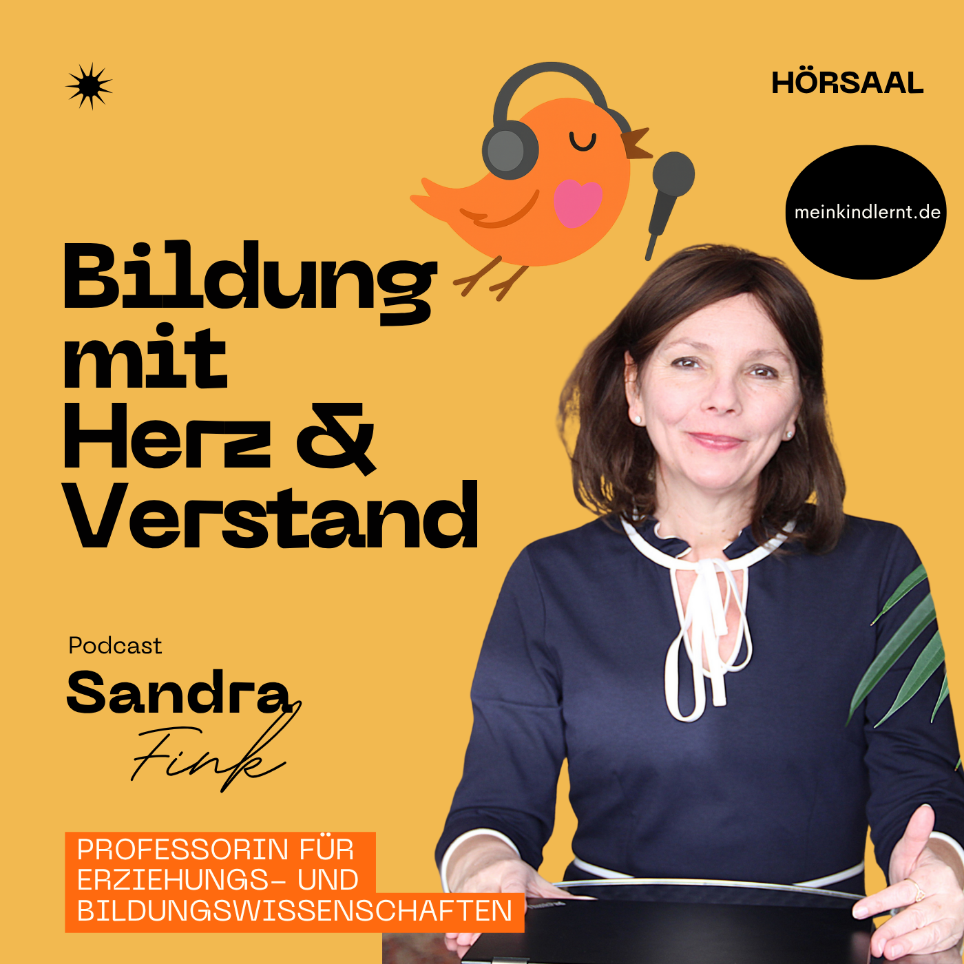 Hörsaal für Bildung mit Herz und Verstand