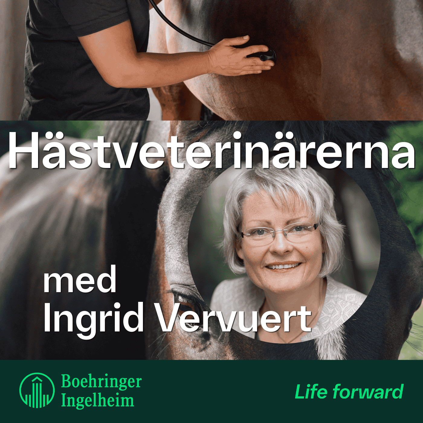 Klinisk nutrition med Ingrid Vervuert, avsnitt 3 – Fodertillskott