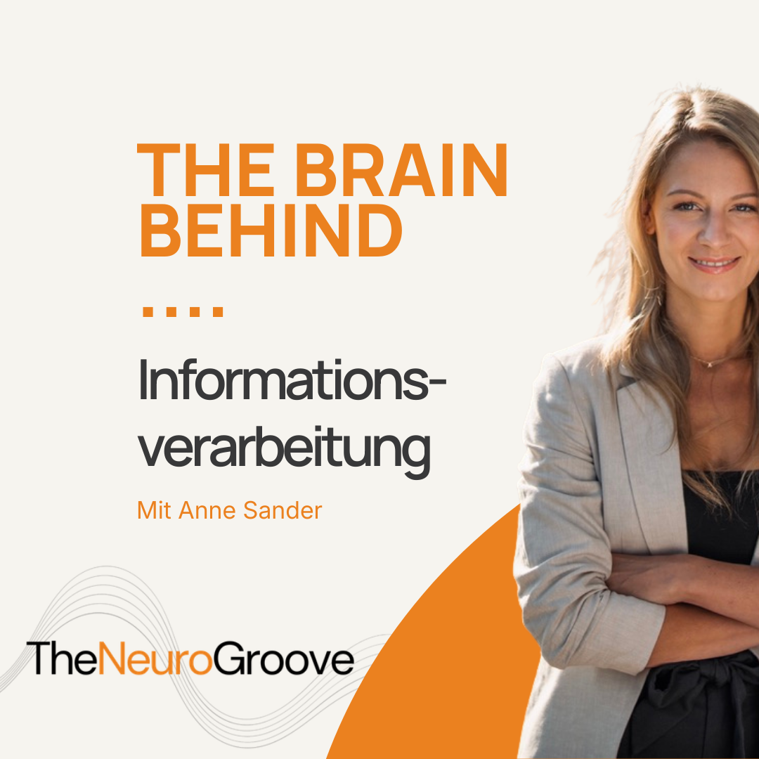 Episode 15: Informationsverarbeitung
