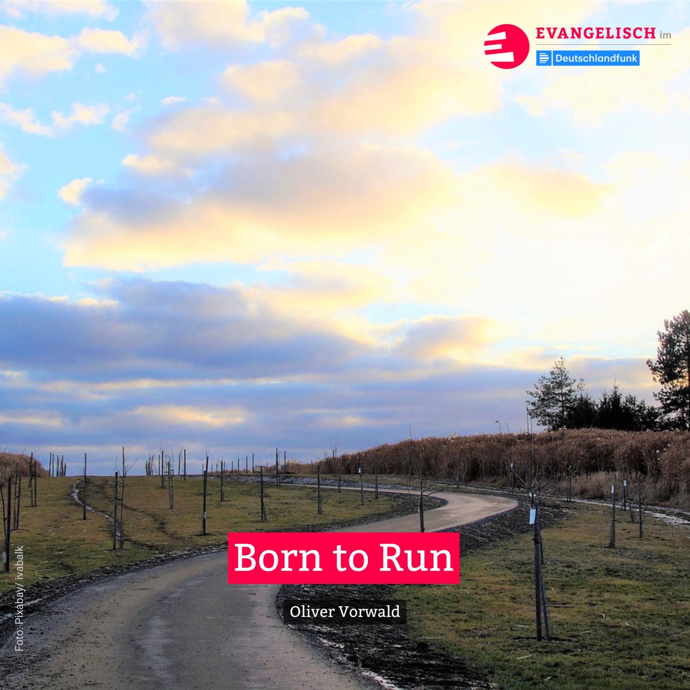 Born to Run