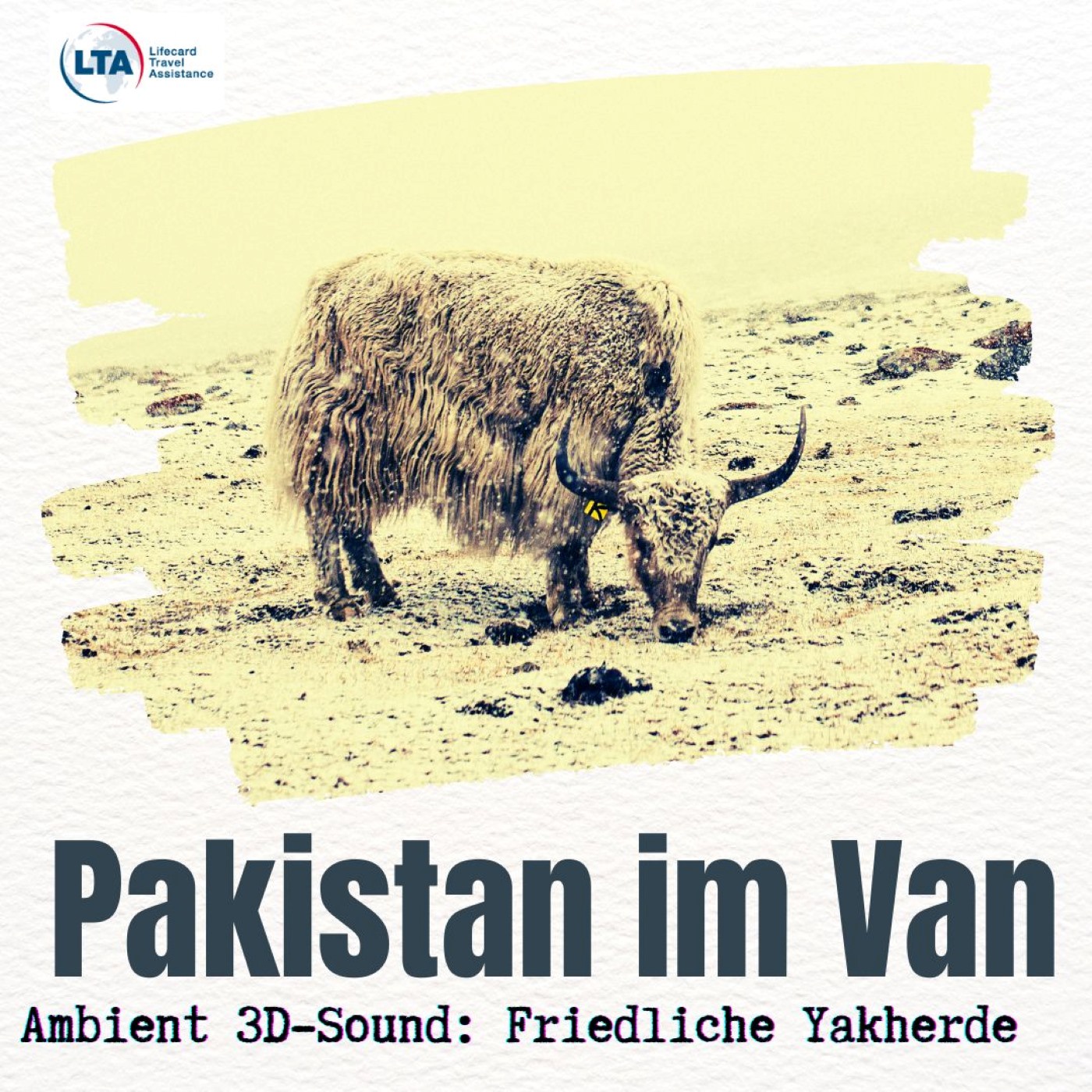 ASMR Yakherde im pakistanischen Gebirge: Ambient 3D-Sound zum Einschlafen