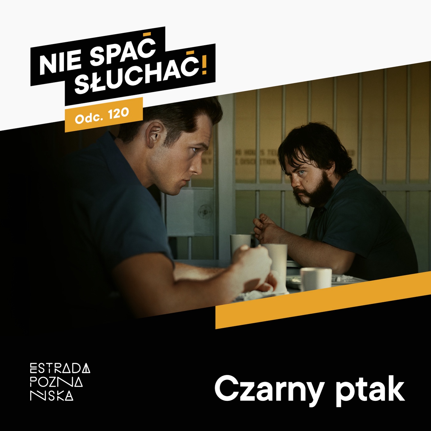 Czarny ptak