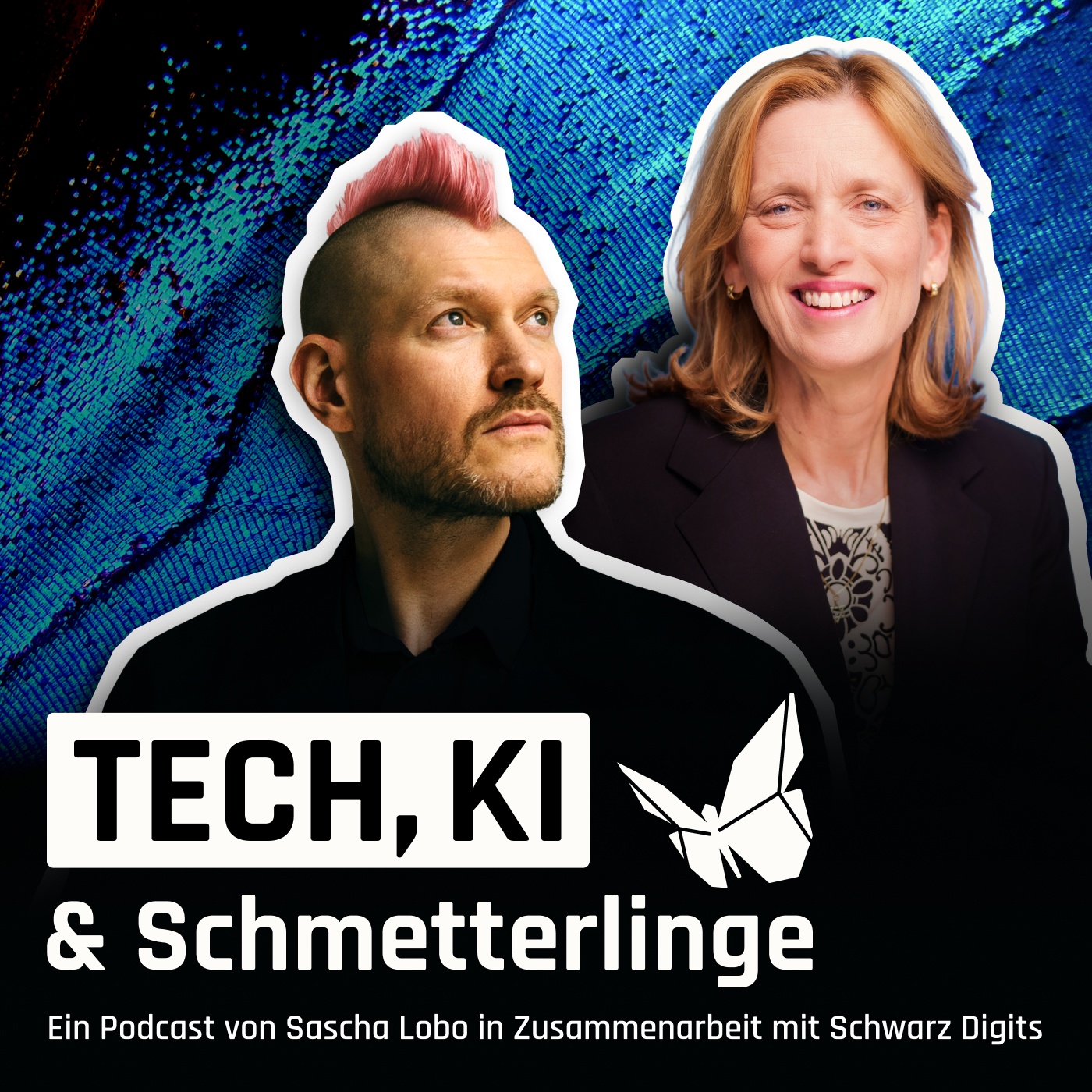 Brauchen Kinder jetzt ein KI-Seepferdchen? (mit Karin Prien)