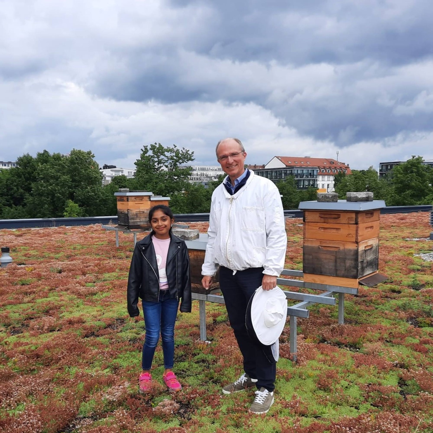 Bienen in der Stadt