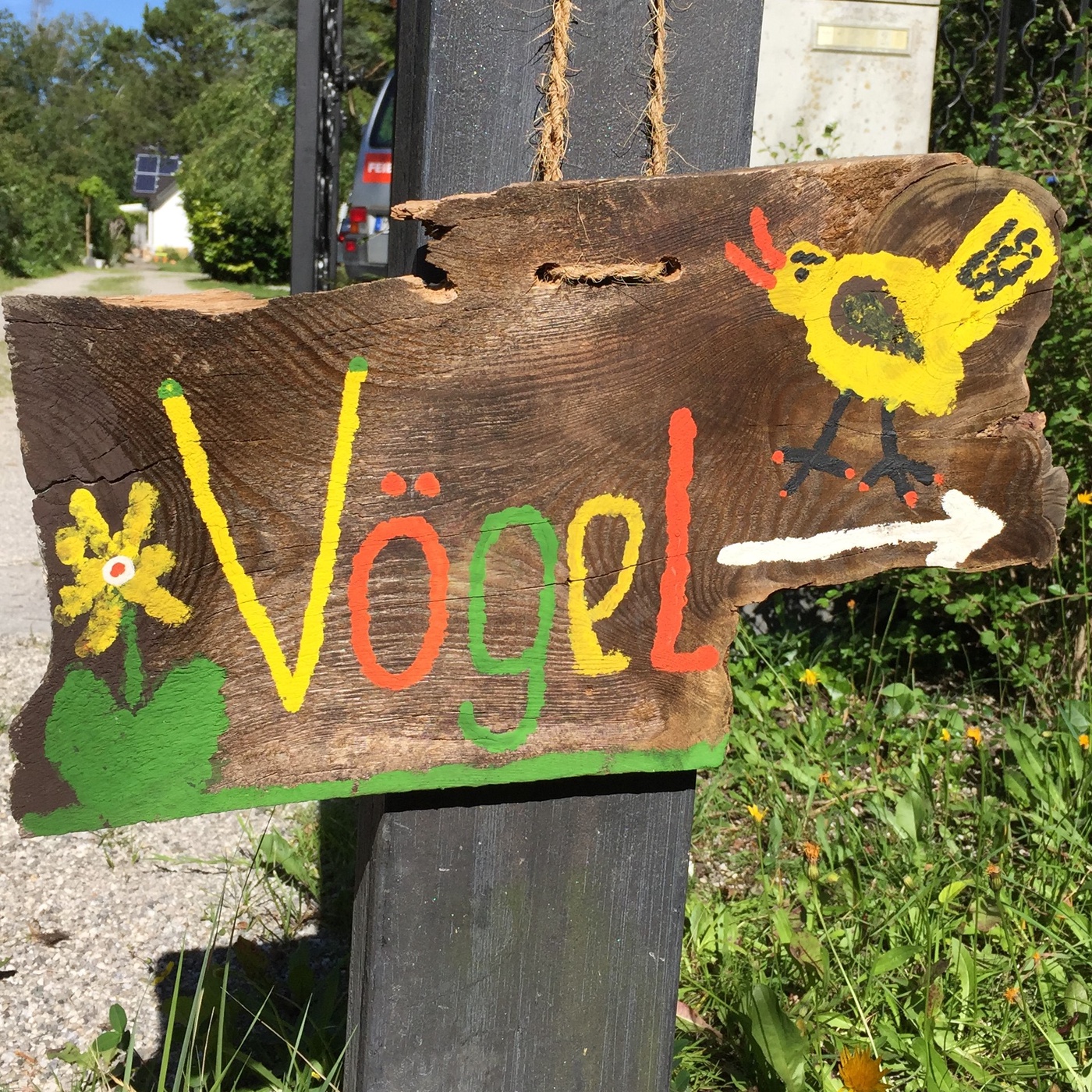 In der Wildvogel-Auffangstation