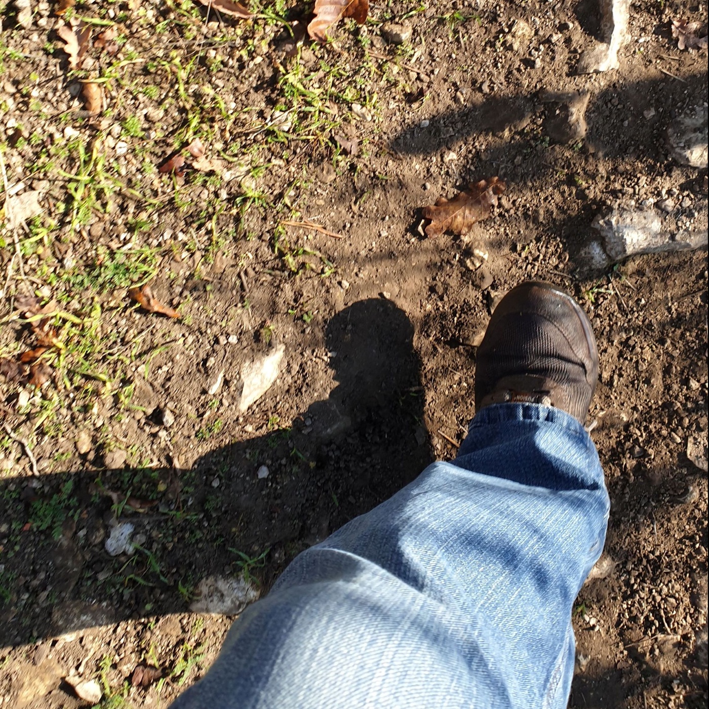 Durchführbarkeitstudie