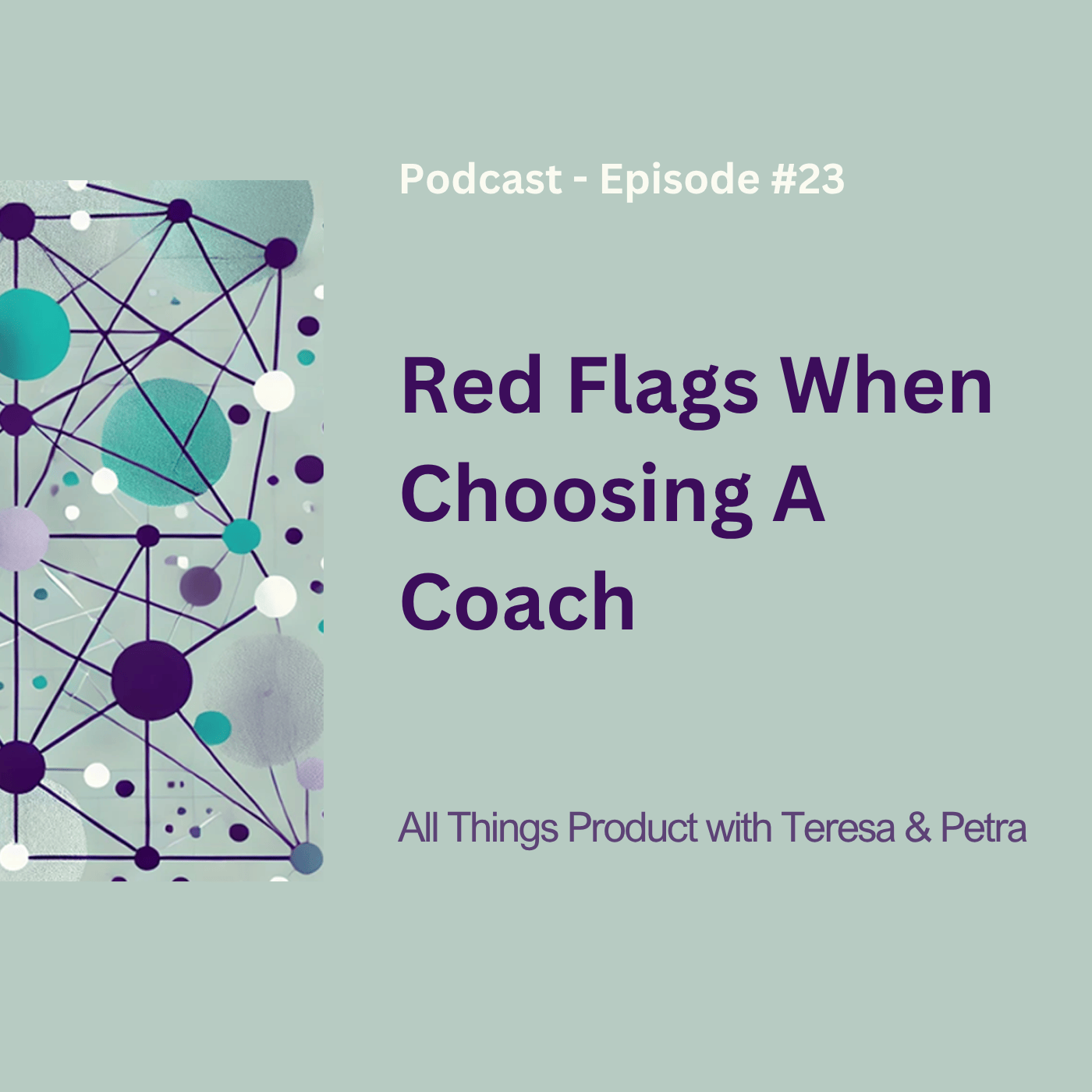 Red Flags When Choosing A Coach