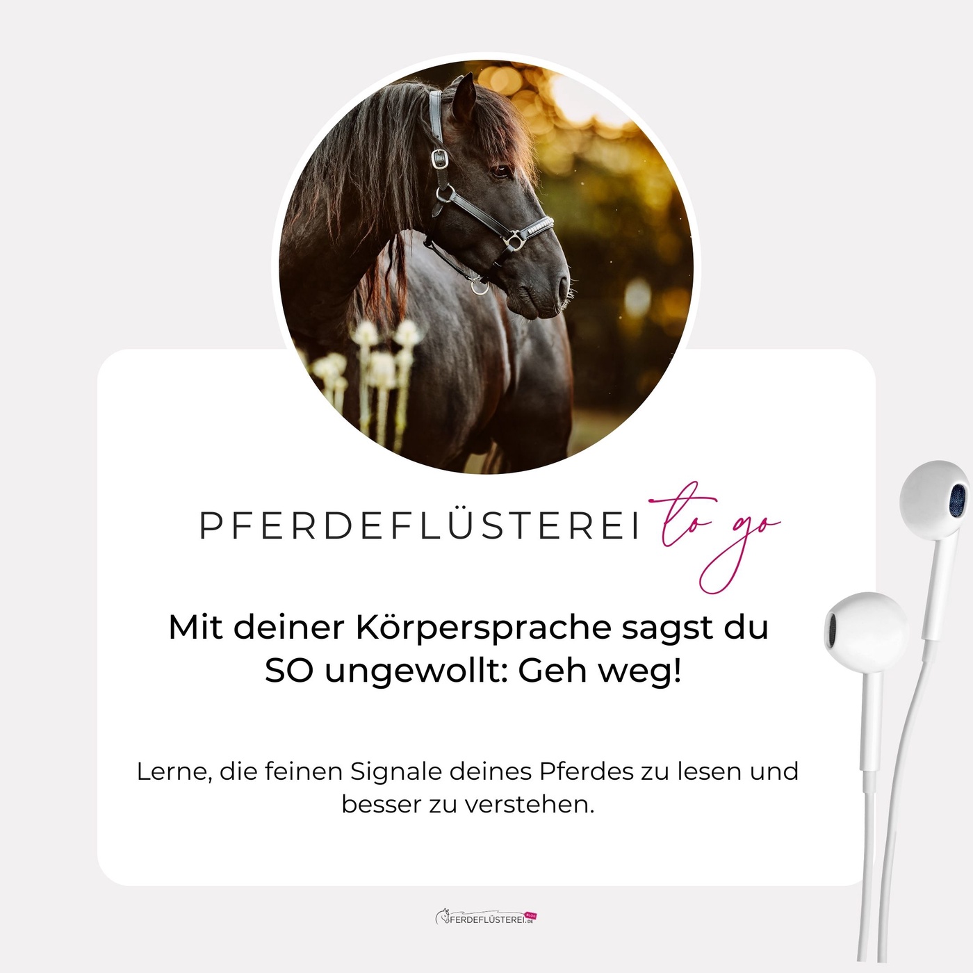 Mit deiner Körpersprache sagst du SO unbewusst: Geh weg!