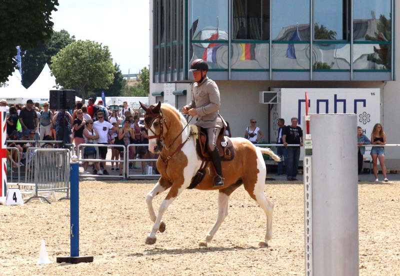 Reitdisziplin für feine Dressur und ein motiviertes Pferd