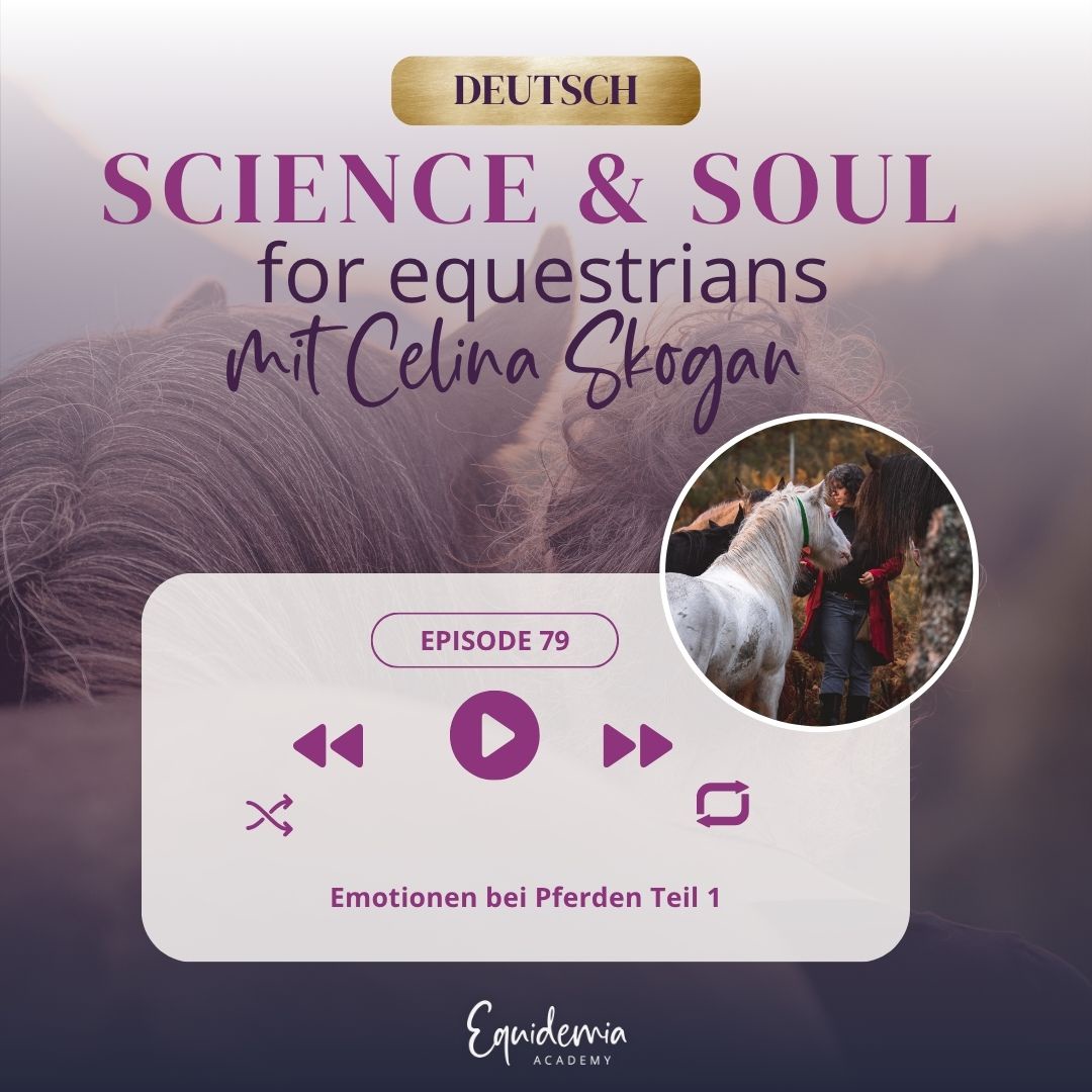 Emotionen bei Pferden Teil 1