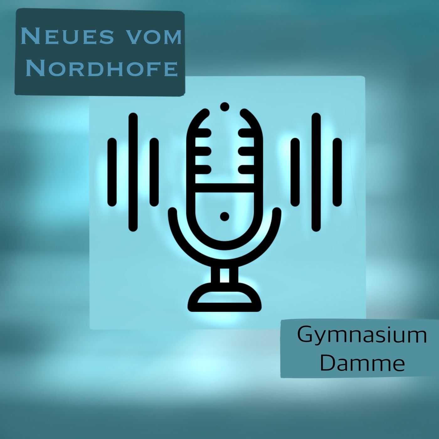 Neues vom Nordhofe - Der Podcast des Gymnasiums Damme