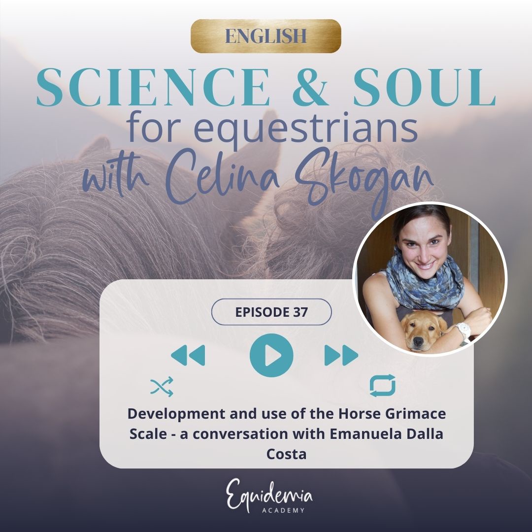 Development and Use of the Horse Grimace Scale - a conversation with Emanuela Dalla Costa