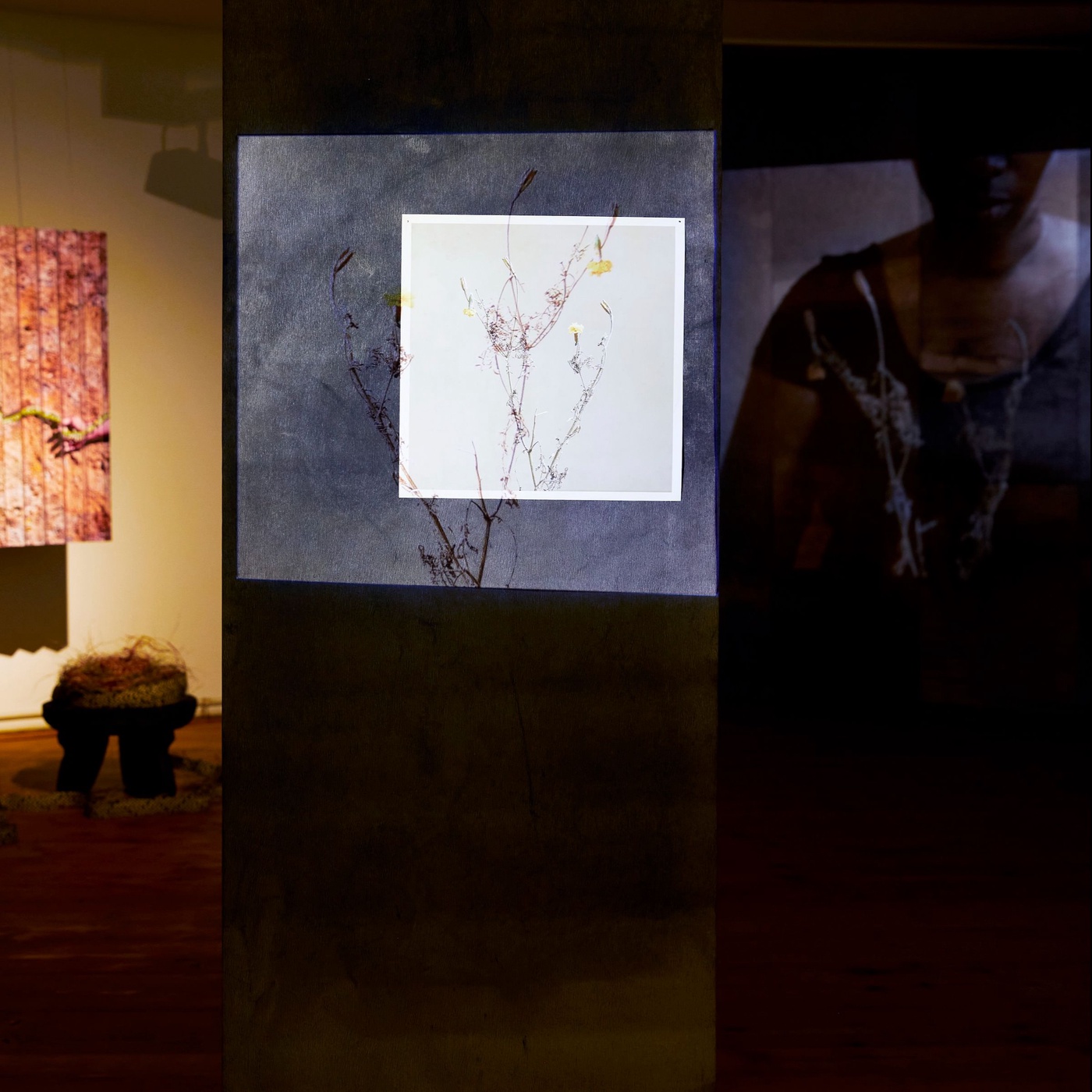 Unlikely Witnesses to History