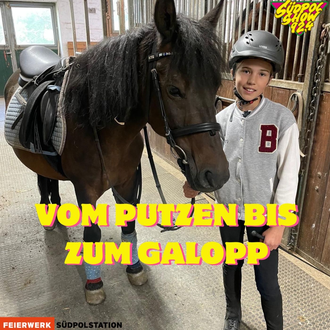 Vom Putzen bis zum Galopp | Mein Hobby